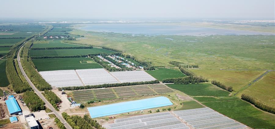黑龙江依安：“一亩种薯”助农脱贫增收