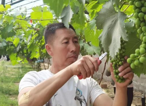 郭永胜：富裕不忘乡亲 产业带动脱贫