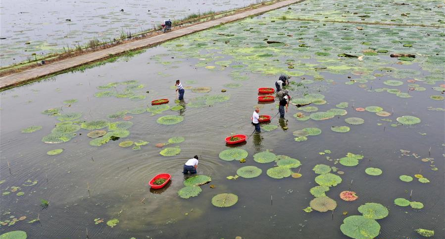 金融活水来 两朵花儿开