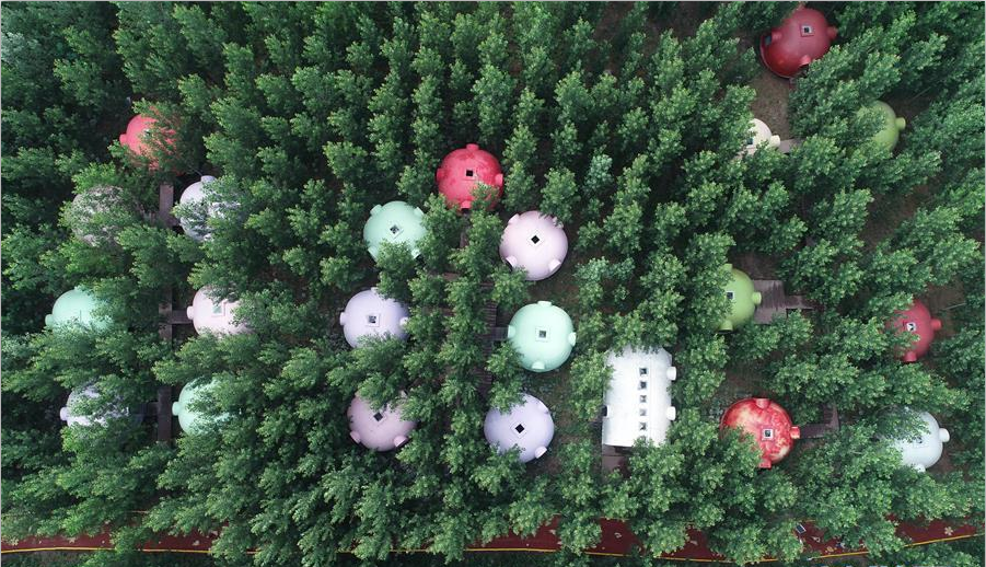 飞岭村：一个小山村的华丽转身