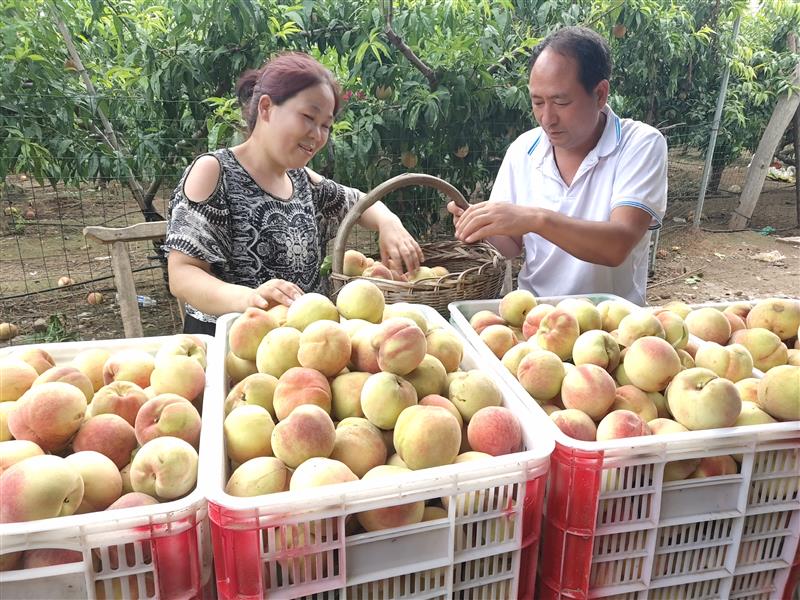 曹平勋：干就要带领群众富起来