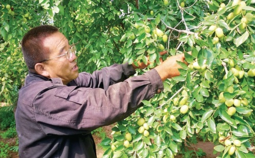 日子红火乡村美　滋养农民精气神