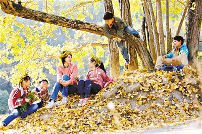 “广东制造”助力电影产业升温