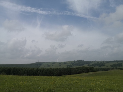 image003