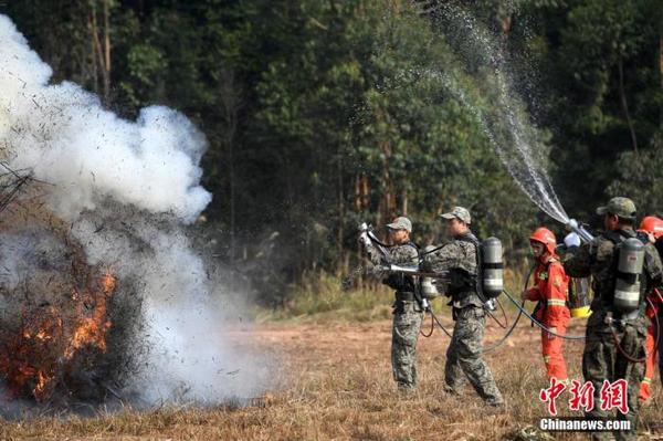 资料图：消防队员进行森林防火技能演练。中新社记者 俞靖 摄