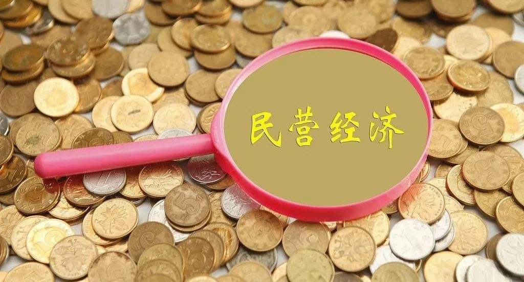“百日大走访”把脉民营经济发展难题