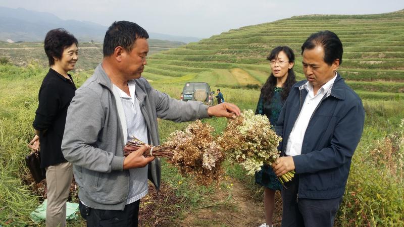 泥麻隆村变身记