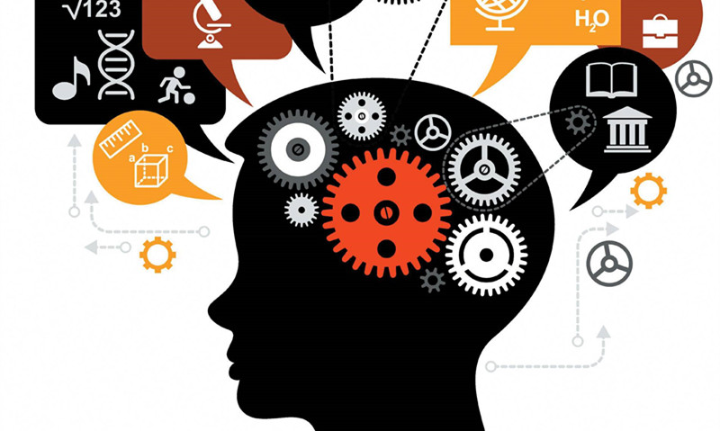 大脑如何判断危险信号？防御反应存在“简单策略”