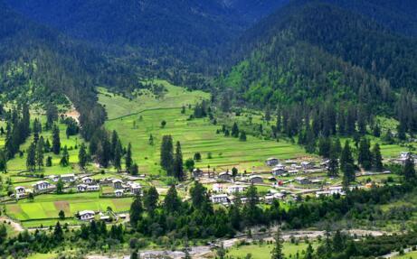 让我们的村庄更美丽