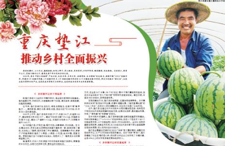 重庆垫江 推动乡村全面振兴