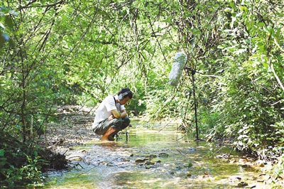 “85后”小伙化身自然声音“捕手” 