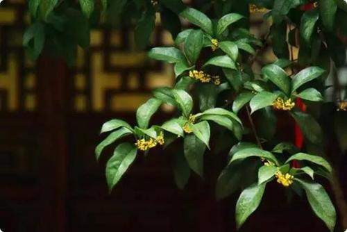 杜绝家长作风，践行共治思维