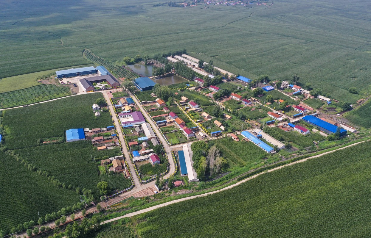 黑土地上是我家——在吉林，一瞥中国东北乡村美