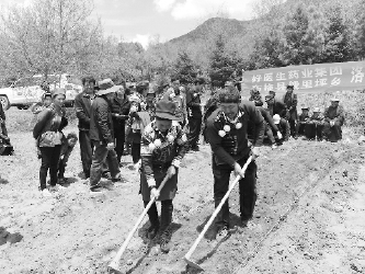 好医生集团发展凉山中药材产业助力扶贫