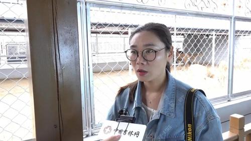 人民网