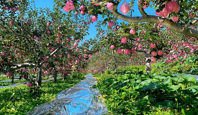 【中国梦·黄河情】山西黄河沿岸保护和发展的“算术题”这样解