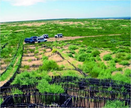 沙漠腹地变成了宝地（走向我们的小康生活）