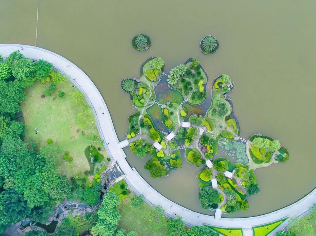 佛山 创建生态宜居美丽家园