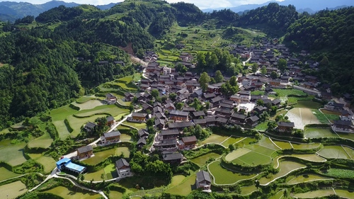 龙塘村俯瞰图　友成　供图