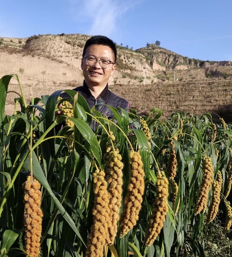 如今，手工挂面和米脂小米成了不少在外陕北人思乡产品的首选，也是很多外乡人认识陕北美食的“敲门砖”。