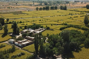 丹山黑水 丝路小城果蔬香