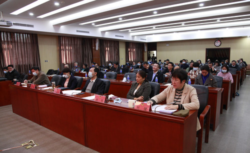 委员们认真听讲 委员们认真听讲