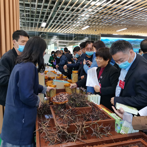 图片14