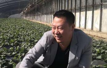 河北迁安市“草莓哥”李佳音： “种最甜的草莓，建最大的基地”