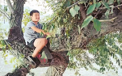 从“网络大电影”到“网络电影”