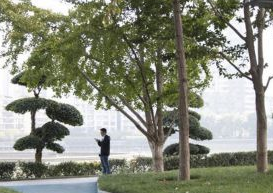 武汉：从“见缝插楼”到“见缝播绿” 