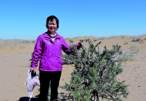 在黄土高原，她“找到”了防风固沙的“它”