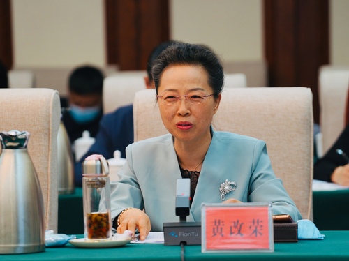 6全国政协委员、河南省人民医院老年医学科主任黄改荣发言