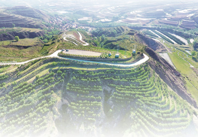 郑二小和他的合作社