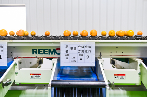 B20201225001-zx7 B20201225001-zx7