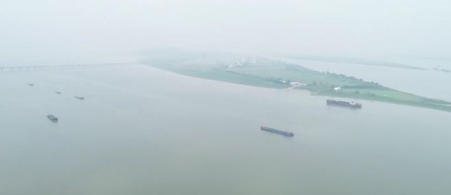 中国首部长江江豚保护地方性法规实施