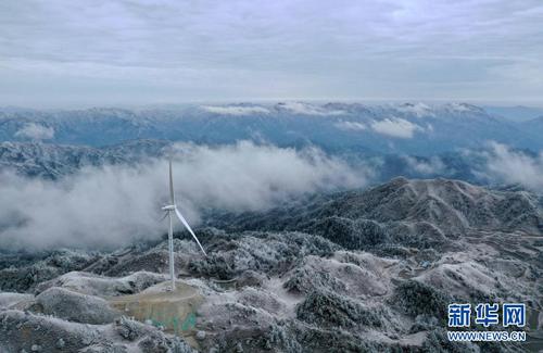 这是广西融水苗族自治县杆洞乡尧告村摩天岭牛场的雪景  （无人机照片，1月8日摄）。
