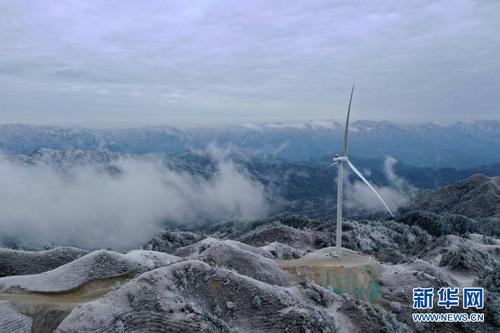 这是广西融水苗族自治县杆洞乡尧告村摩天岭牛场的雪景（无人机照片 ，1月8日摄）。