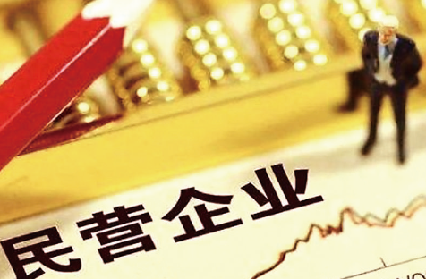 从涉税主体看民营企业新活力