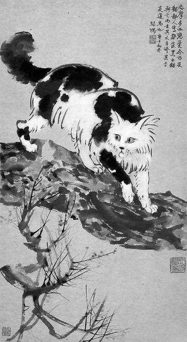 ▶徐悲鸿《猫》