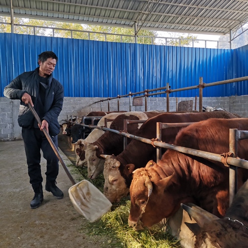 微信图片_20210218091919(108503)-20210219090337