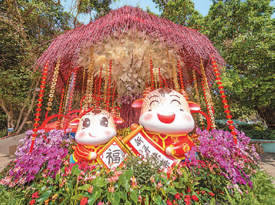 　澳门街头的生肖牛造型花坛。