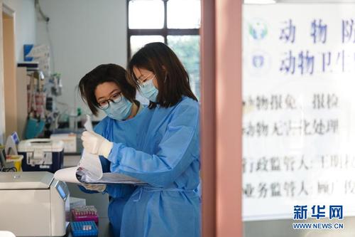 谢丞恩（右）在农场实验室查看实验数据（2月20日摄）。新华社记者 季春鹏 摄
