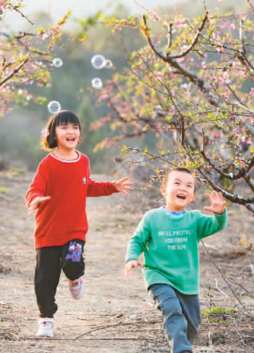 2月21日，广东省梅州市平远县八尺镇黄沙村，尚乐寿鹰嘴桃种植基地的200多亩鹰嘴桃花渐次绽放，吸引众多游客前来游玩。冯锡权摄（人民视觉）