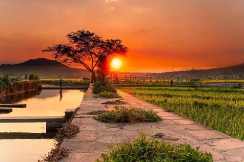 吃上旅游饭 增收路更宽（奋斗百年路 启航新征程·脱贫攻坚答卷）