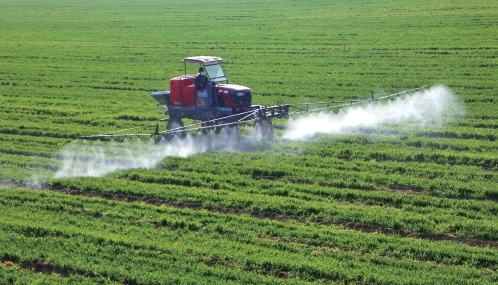 人勤不负好春光