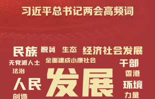 AI看两会 | 8年46次“下团组” 总书记都说了哪些高频词?