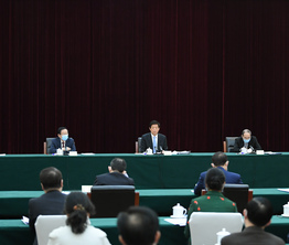 栗战书与致公党、侨联、对外友好界别政协委员共商国是