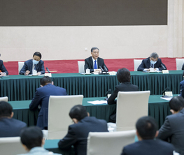 汪洋与民进、九三学社界别政协委员共商国是