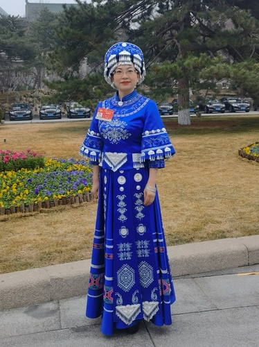 全国政协委员石红