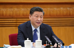 习近平参加青海代表团审议